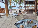 Secret du Paradis : Pourquoi le Buho’s Beach Bar Isla Mujeres Ressemble à un Trésor Caché