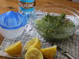 Boisson rafraîchissante citron-menthe