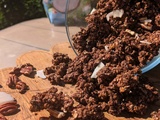 Granola choco/coco protéiné