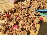 Granola fraise amande