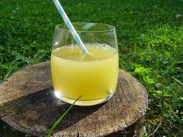Recette de Limonade concombre et romarin (Sodastream)  Recettes faciles,  recettes rapides, recettes végétariennes !
