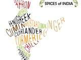 22 épices indienne plus importantes: histoire, bienfaits et utilisations