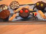Muffins chocolat Araignée
