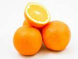 Focus produit : les oranges