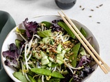 Salade de fèves germées à l’asiatique