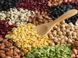 Flexitariens, Végétariens : Comment diversifier les sources de protéines