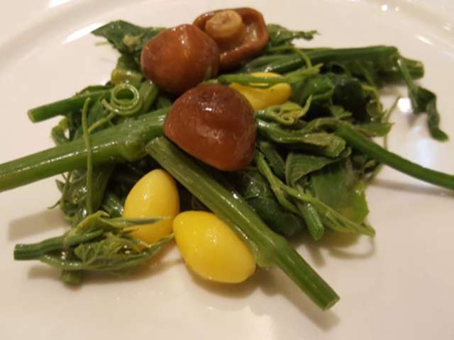 Salade de vrilles de chayote à la japonaise