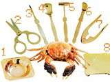 Gastronomie traditionnelle (10) : Les huit ustensiles crabiers (蟹八件)