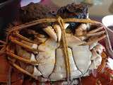 Gastronomie traditionnelle : Le crabe de grande écluse (大闸蟹)