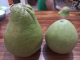 Ingrédients : Pomelo de Koh Trong