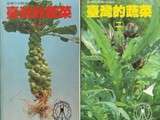 Livres (4) : 台灣的蔬菜