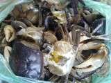 Pour le plaisir (80) : Soupe aigre aux crabes de rizière (សម្លម្ជូរក្ដាមស្រែ)