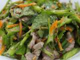 Pour le plaisir : Salade cambodgienne de bœuf cru mariné aux haricots dragons