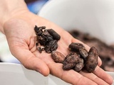 Transformer le chocolat en expérience gourmande