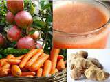 Jus de fruits frais santé aux pommes, gingembre et carottes (Scandinavie)