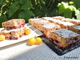 Gâteau moelleux aux mûres et aux mirabelles