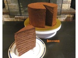 Gâteau multicouche au chocolat façon truffe - Recette en vidéo