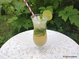 Mojito - Recette en vidéo - www.sucreetepices.com