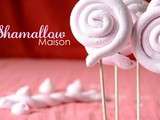 Sucettes de guimauves/Shamallow/Marshmallow Maison