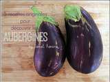 5 recettes originales pour découvrir les aubergines