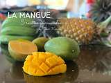 Mangue, 5 recettes gourmandes