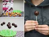 Moule Cake Pop Lekue