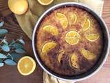 Portokalopita | Gâteau de pâte filo à l’orange comme en Grèce