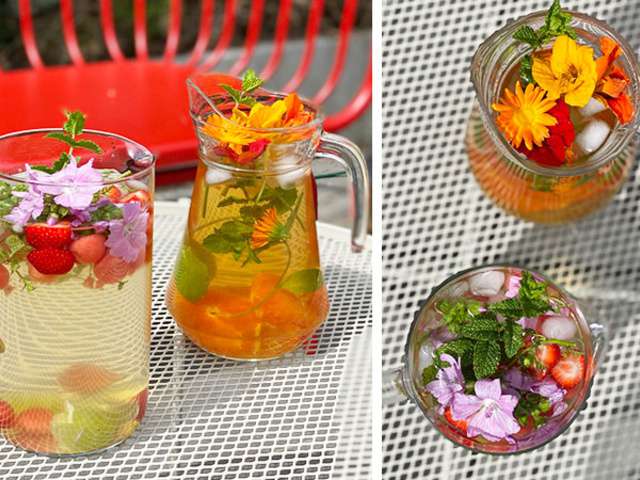 Recettes de Glace maison de Tomate Cerise