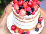 Simply Naked Cake aux fruits rouges