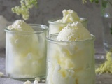 Sorbet fromage blanc