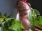 Sorbet Rhubarbe Vanillée
