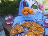 Tarte Fine Abricot Noisette