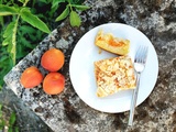 Gâteau Moelleux Abricot Amande