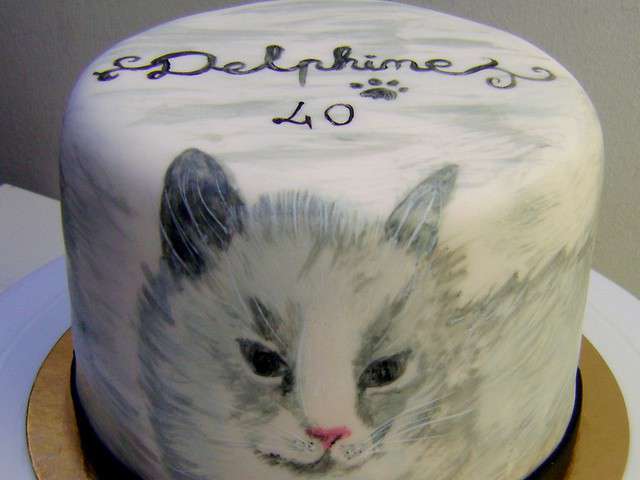 Recettes De Chat De T As Pas Du Sucre