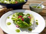 Salade et sa Vinaigrette à la fane de radis – Végétalienne –