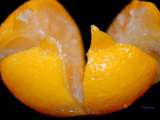 Citrons Confits au Sel