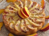 Moelleux à la Nectarine