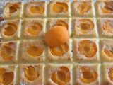 Moelleux aux Abricots