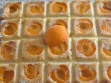 Moelleux aux Abricots