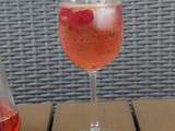 Apéritif : Cocktail rosé pamplemousse et framboise maison