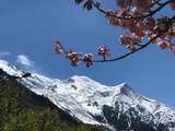Bonheur c'est simple comme : admirer le soleil sur le Mont-Blanc au printemps