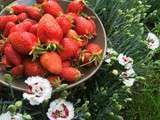 Bonheur c'est simple comme : les premières fraises du jardin
