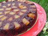 Dessert : Gâteau au chocolat renversé à l'Ananas (Saveurs n° 215)