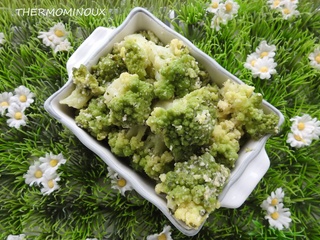 Temps De Cuisson Chou Romanesco Cookeo Le Différents Modes Et Temps De Cuisson Du Chou Romanesco 27 Recettes de Chou romanesco