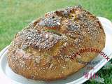 Pain multigrains (thermomix)