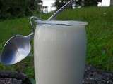 Yaourts au lait condense (thermomix)