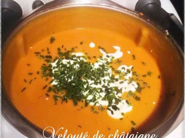 Recettes de Potimarron et Thermomix