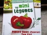 Mini- légumes