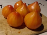 Quiche (sans pâte) aux tomates du potager