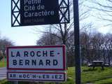 Roche Bernard (2)